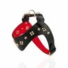 Christian Louboutin Loubiharness S Embellished Leather Dog Harness